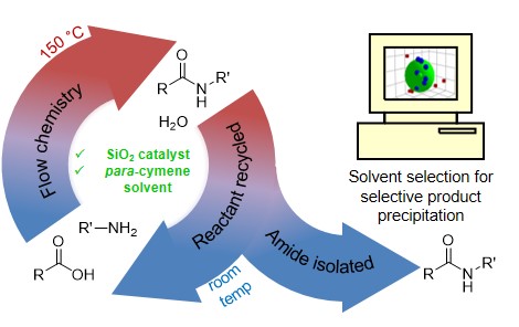 Computational guidance to enhance catalyst performance in a continuous recirculating amidation